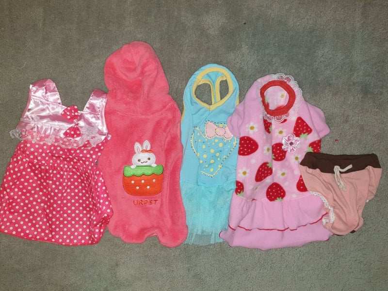 L doggie clothes bundle B (5pcs) SUPER SPECIAL Carousel 1