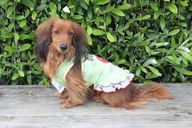 Double Cherry Frilly Dress in Green Carousel 1