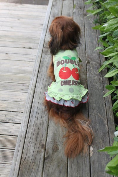 Double Cherry Frilly Dress in Green Carousel 2