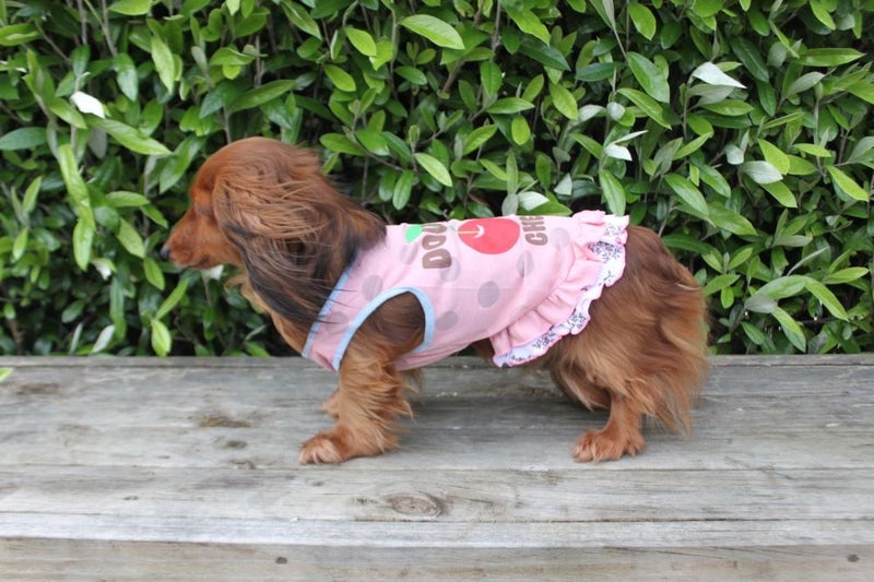 Double Cherry Frilly Dress in Pink Carousel 1