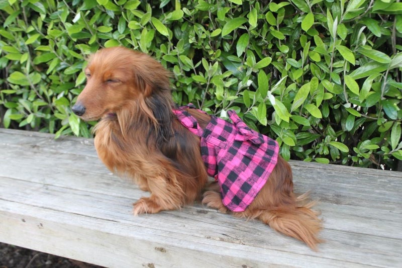 Checkered Suspender Skirt in Hot Pink Carousel 2