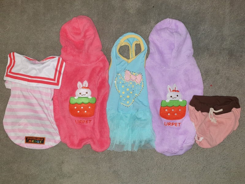 L doggie clothes bundle A (5pcs) SUPER SPECIAL Carousel 1