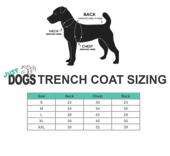 Doggy Trench Coat Carousel 2
