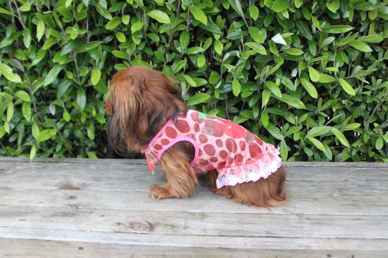 Double Cherry Frilly Dress in Red Carousel 1