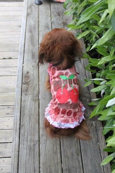 Double Cherry Frilly Dress in Red Carousel 2