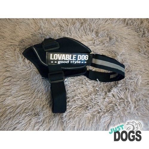 ARMY STYLE HARNESS Carousel 2
