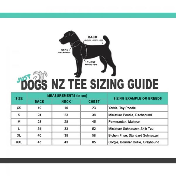 NZ SPORTS TEE Carousel 3