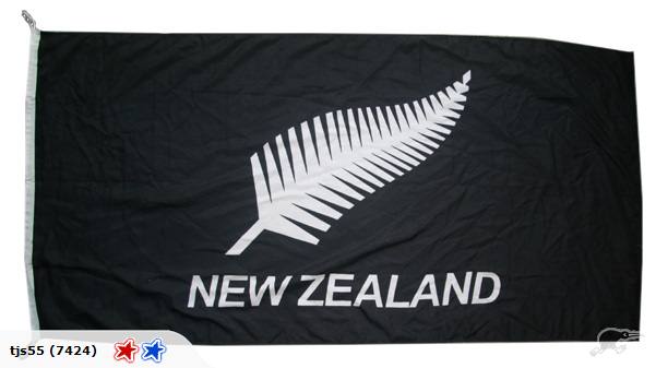 = New Zealand Silver Fern Flag - Heavy Duty Flag = Carousel 1