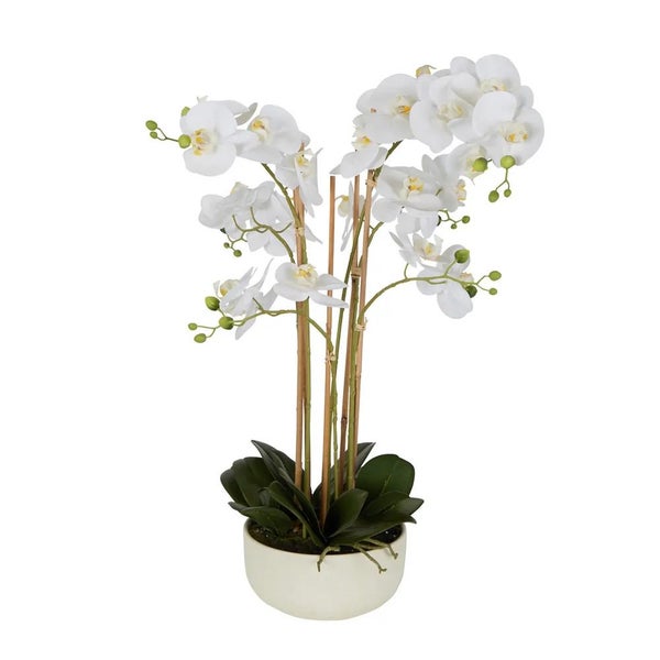 Orchid Real Touch in White Pot Carousel 1
