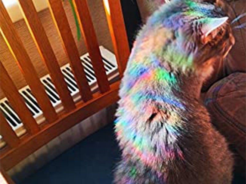 3Pcs Cat Suncatcher Window Sticker Window Clings Static Window Decal Carousel 4