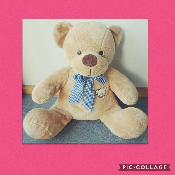 4 teddies to choose from sensory therapy weighted teddy Carousel 2