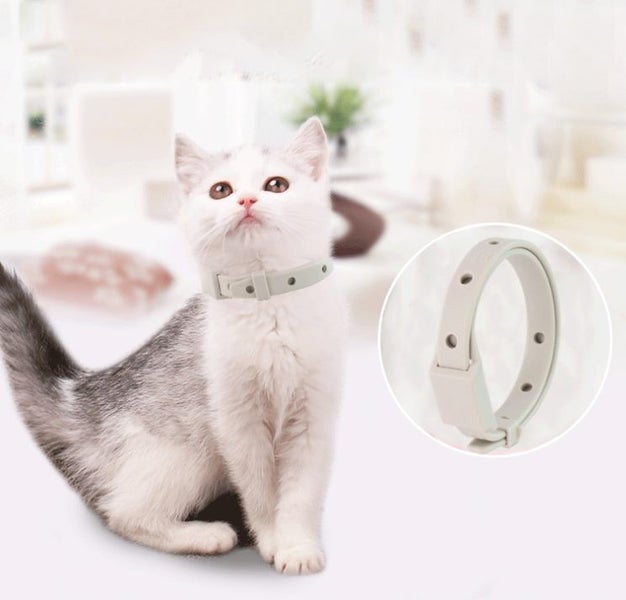 Flea Collar 38cm Carousel 1