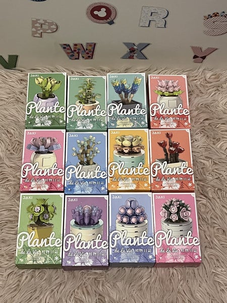 Jaki Plante "Pot Plants Series" JK2710-10 Carousel 2