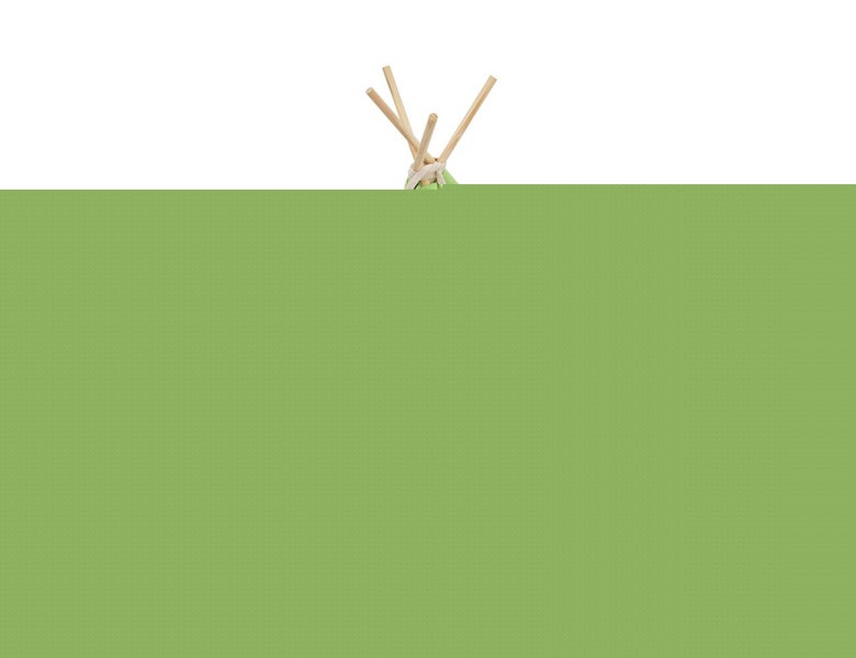 Pet House Pet Teepee - Green Carousel 2