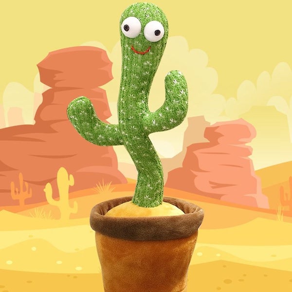 Dancing Cactus Toy Carousel 13