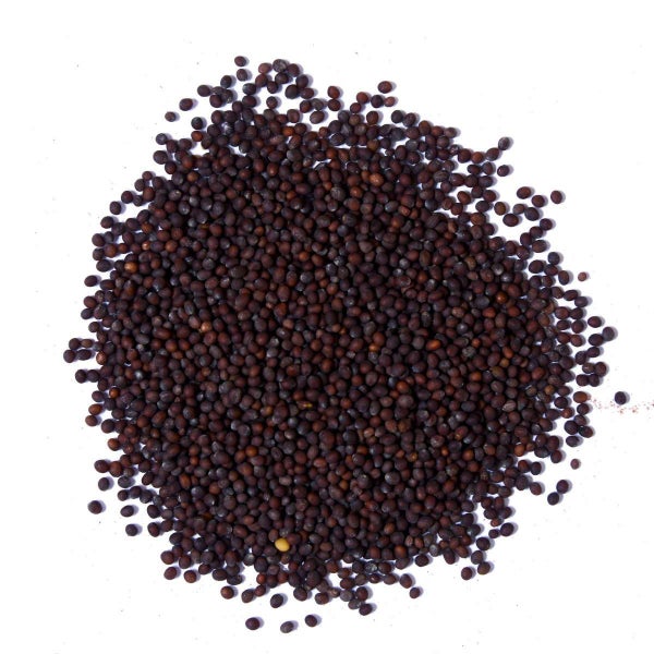 Premium Mustard Seeds Black Carousel 2