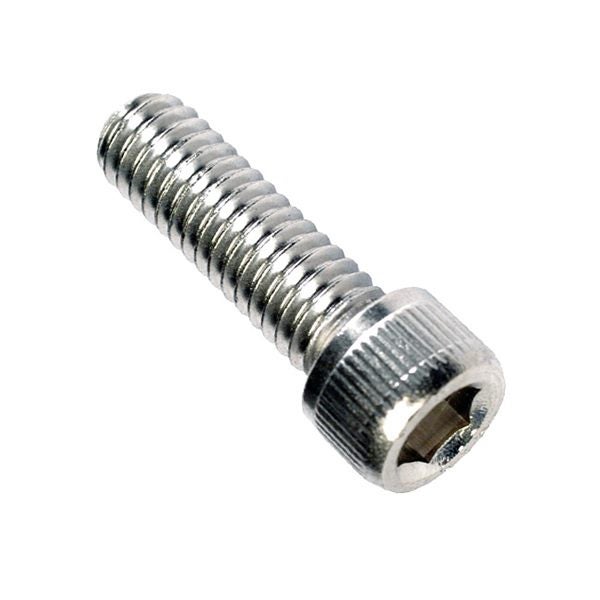 Champion 5/16in x 1/2in BSW Socket Cap Screw 316/A4 -6pk Carousel 1