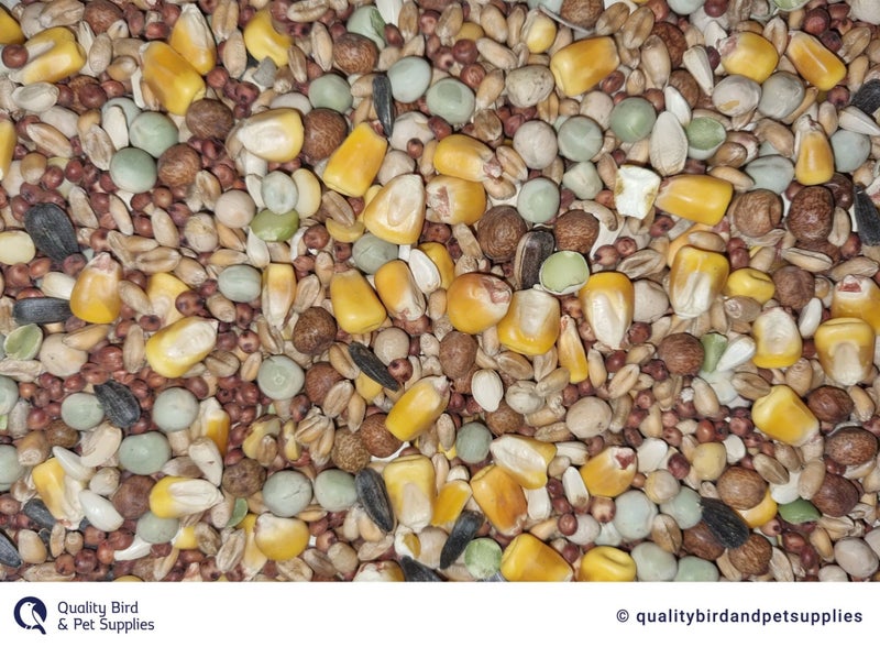 Premium Pigeon Young Bird Race Mix Carousel 1