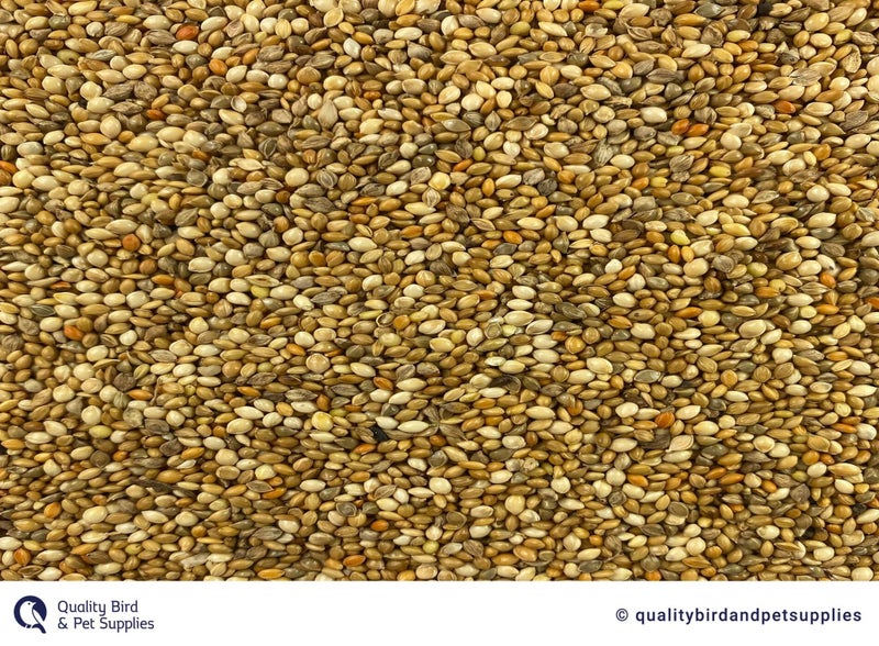 Millet Mix - Topflite Carousel 1
