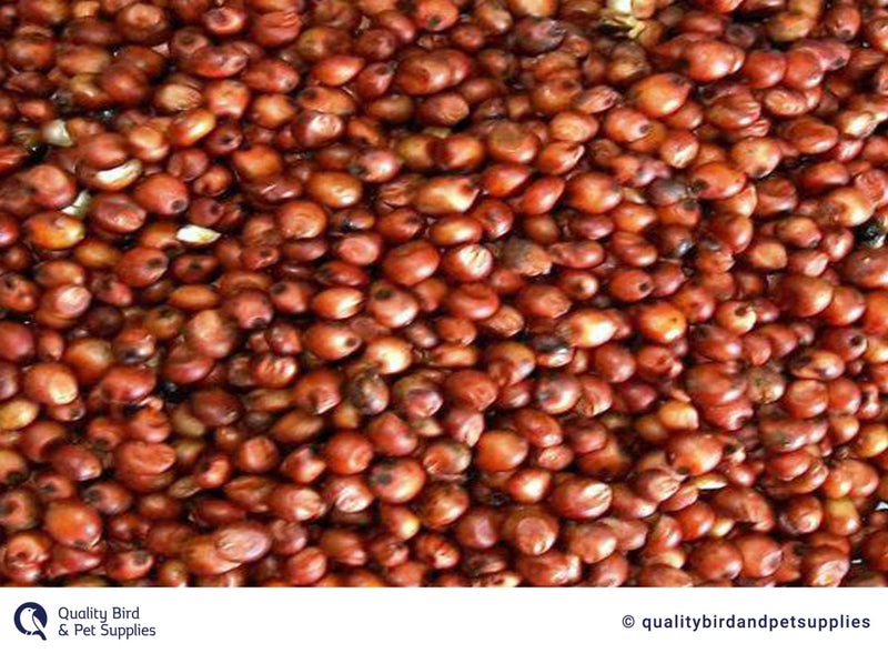 Red Sorghum Carousel 1