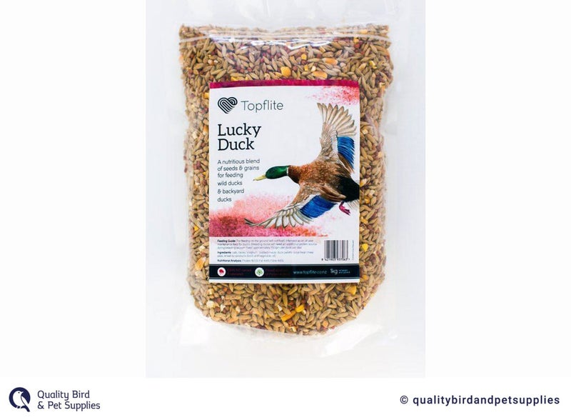 Topflite Lucky Duck Carousel 1