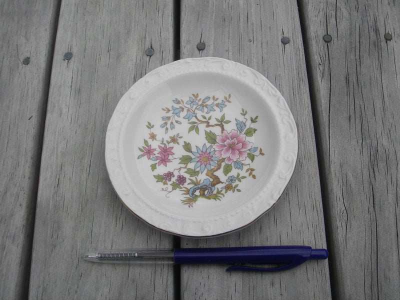 Paragon Posey Plate - 120 mm Carousel 2