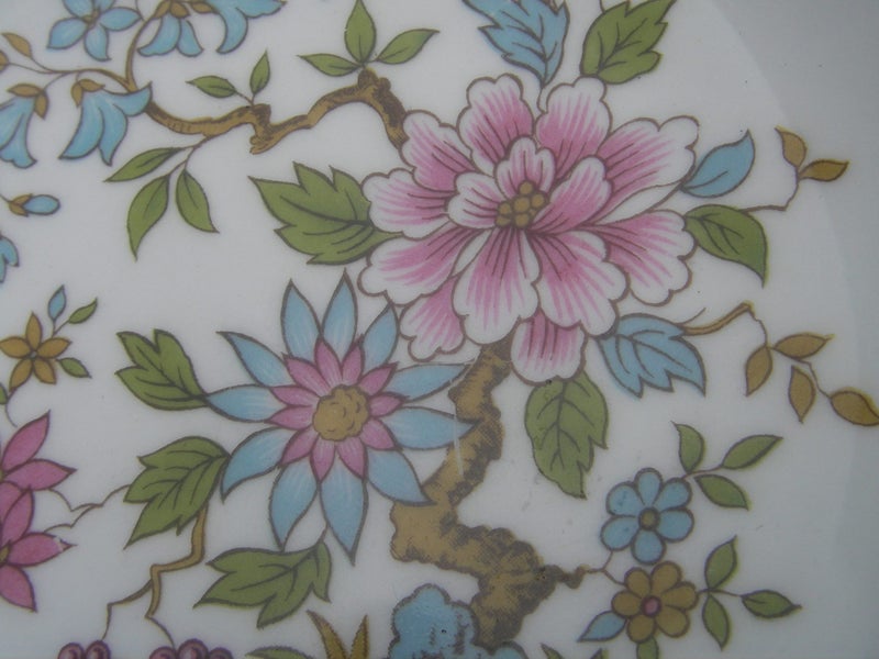 Paragon Posey Plate - 120 mm Carousel 5