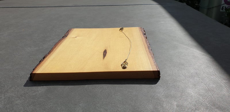 Pyrography Artwork on live edge basswood Carousel 2