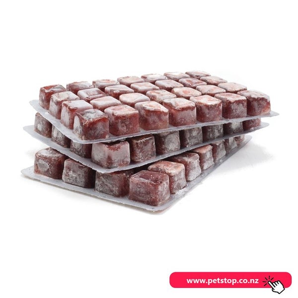 10 packs Frozen Bloodworms For Tropical Marine Fish and Turtle (100g each) Carousel 2