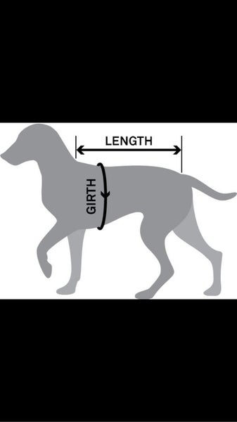 Lovely warm dog coat**SALE Carousel 3