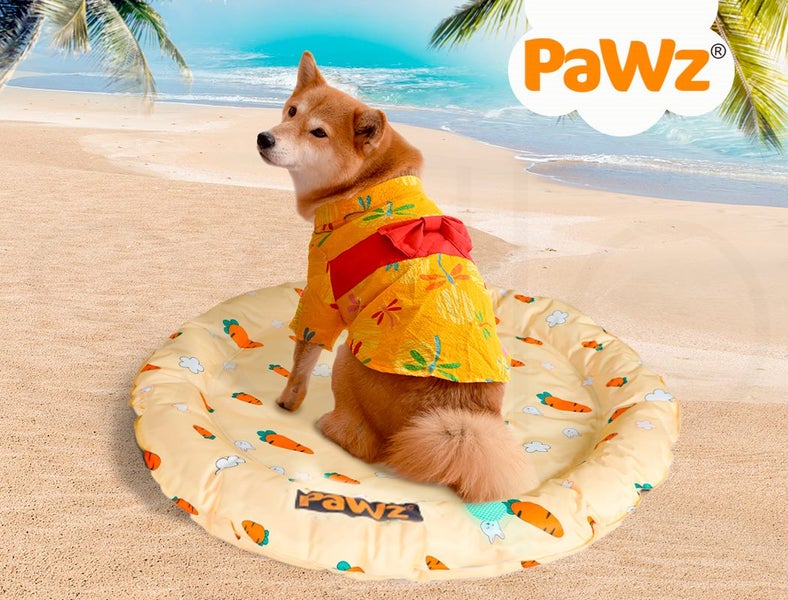 Pawz Pet Cooling Mat Dog Bed Cat Summer Self-cold Gel Sofa Carrot-Round M L Carousel 9