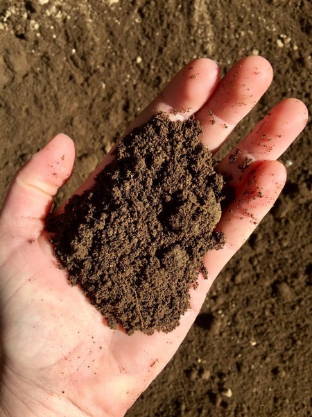 Top Soil Carousel 1