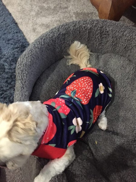 Lovely warm dog coat**SALE Carousel 2