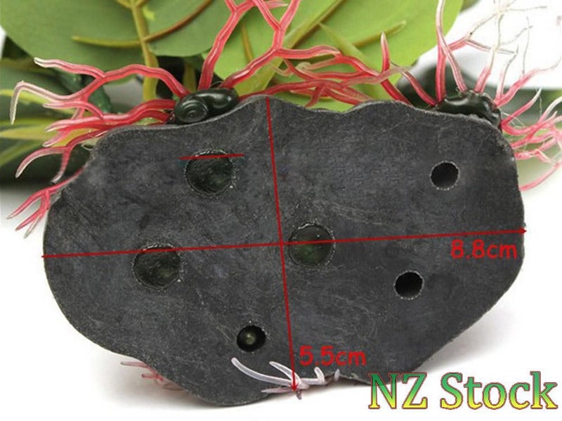 PTN NEW Aquarium Fish Tank Plants Sale Sale Carousel 2