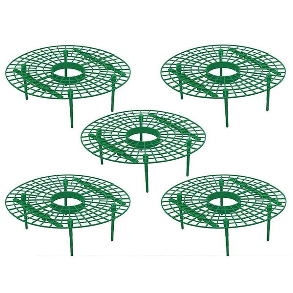 5/10 Pack Strawberry Supports Keeping Plant Fruit Stand Vegetable Growing CHK177 Carousel 1