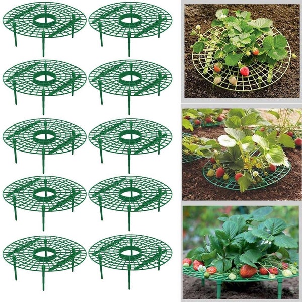 5/10 Pack Strawberry Supports Keeping Plant Fruit Stand Vegetable Growing CHK177 Carousel 2