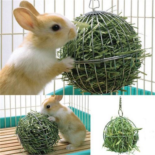 Stainless Steel Round Sphere Feed Dispense Exercise Hanging Hay Ball Guin CHK177 Carousel 1