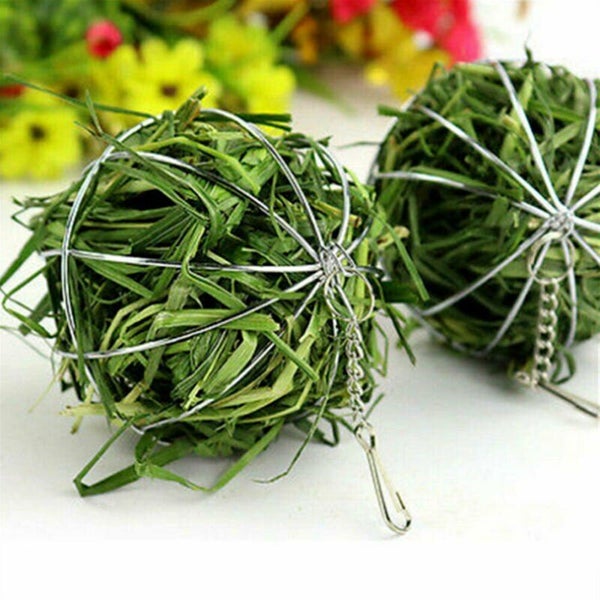 Stainless Steel Round Sphere Feed Dispense Exercise Hanging Hay Ball Guin CHK177 Carousel 6