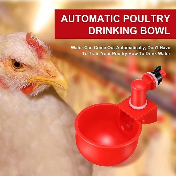Automatic Chicken Drinker Quail Hanging Water Cup Nipple Drinking Bowls F CHK177 Carousel 10