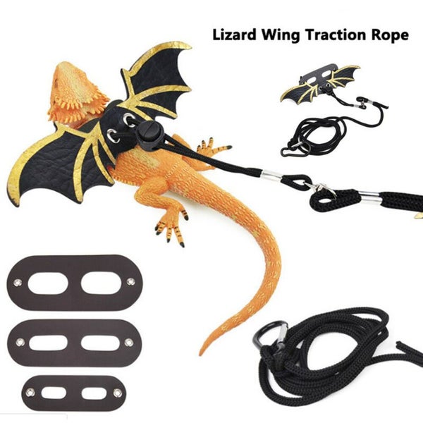Lizard Leather Traction Rope With Wings Reptile Bearded Dragon Harness Ad CHK177 Carousel 1