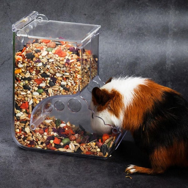 Hamster Rabbit Food Dispenser Feeder Plastic Clear Automatic Pet Feeder F CHK177 Carousel 2