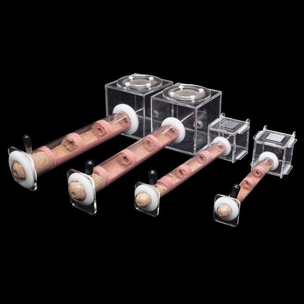 DIY Various Size Ant Farm Bamboo Tube Nest with Feeding Area Pet Anthill CHK177 Carousel 2