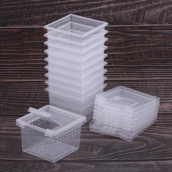 10x Feeding Box Reptile Cage Hatching Container Rearing Tank Clear Reptil CHK177 Carousel 6