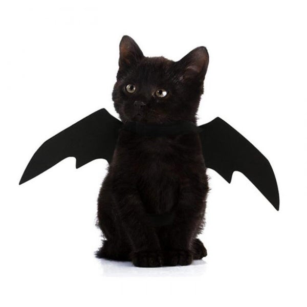2019 New OLN Pet Dog Cat Bat Wing Cosplay Prop Halloween Bat Fancy Dress CHK177 Carousel 1