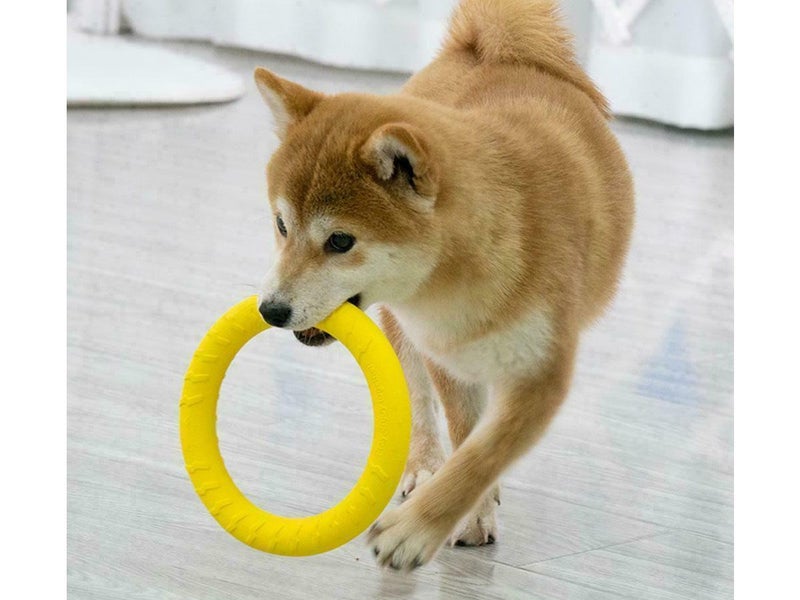 Puppy Dog Chew Toys NZ Clearance Carousel 7