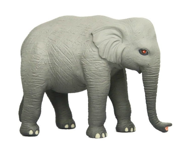 Science and Nature Elephant Carousel 1