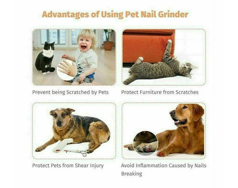 Pet Nail Grinder - Electric Carousel 8