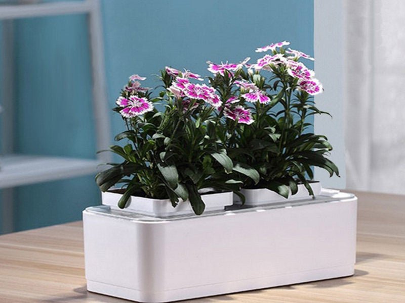 Home Garden Indoor Hydroponic Garden Kit No Plant Carousel 7