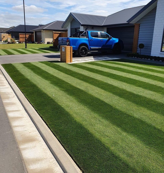 Lawn Seed - Fine Fescue - 5 KG - Lawn Seed (NZLA) Carousel 1