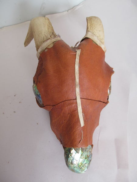 KIWIANA TAXIDERMY SKULL DISPLAY WITH PAUA EYES Carousel 2